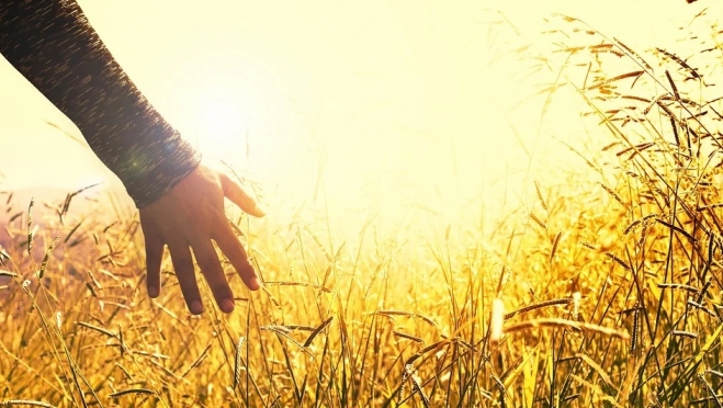 Марий Эл раздала аграриям 400 миллионов