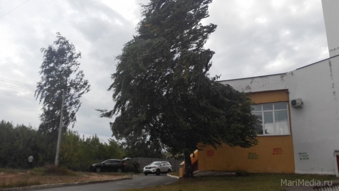 В Марий Эл в пятницу ожидается усиление ветра и гроза