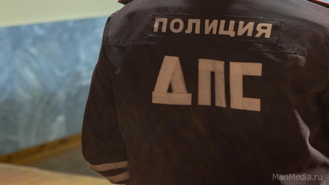 Йошкаролинка, виртуально оскорбившая инспектора ДПС, пойдёт под суд