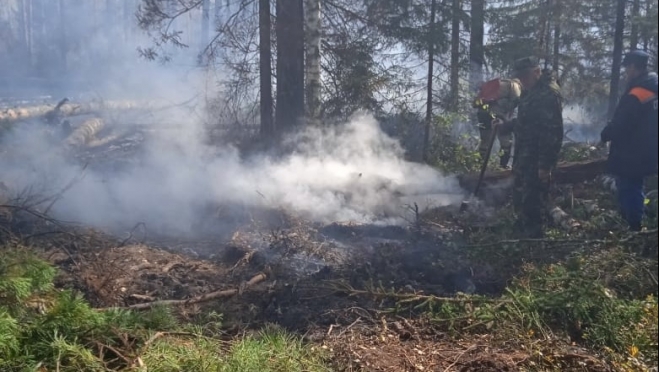 В Марий Эл расследуют причины возникновения лесных пожаров