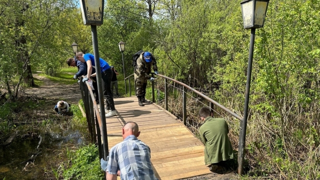 Отремонтированному мостику в Сосновой роще вновь нужен ремонт