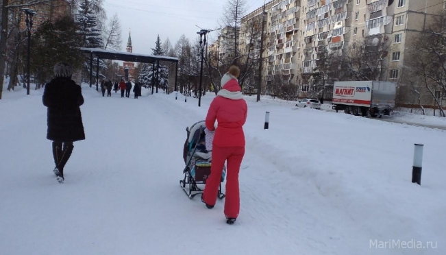 В Марий Эл подрастают Ариэлла, Леон, Мадина