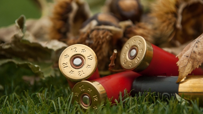 Сотрудники Минприроды прокомментируют новые правила охоты в Марий Эл