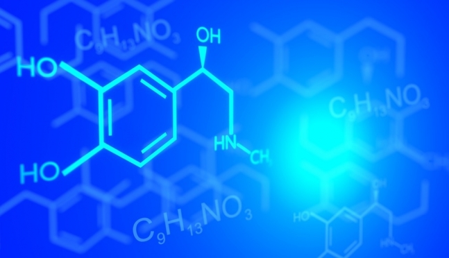 В Марий Эл химию и историю сдали 924 выпускника