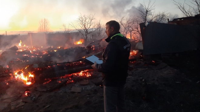 В Звениговском районе пал сухой травы привёл к гибели женщины