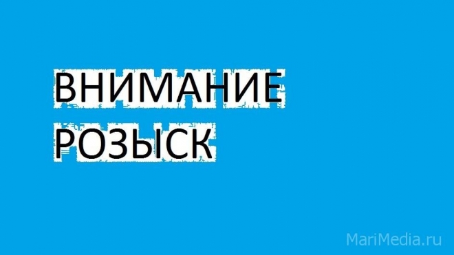 В Волжском районе ищут водителя совершившего ДТП