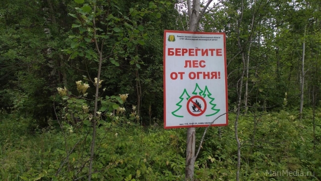 В Марий Эл в Волжском районе случился лесной пожар