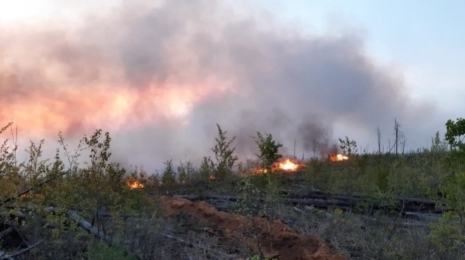 В лесах Марий Эл объявлен 4 класс пожароопасности
