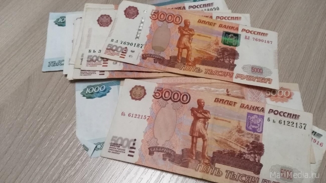 В Марий Эл 264 семьи получили региональный материнский капитал