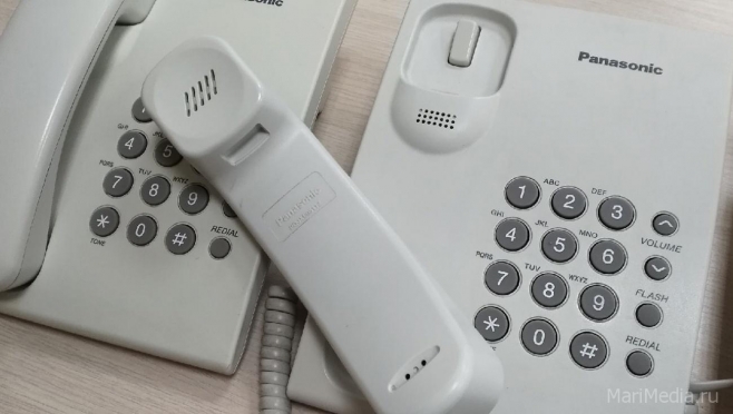 До судебных приставов можно дозвониться по телефону доверия