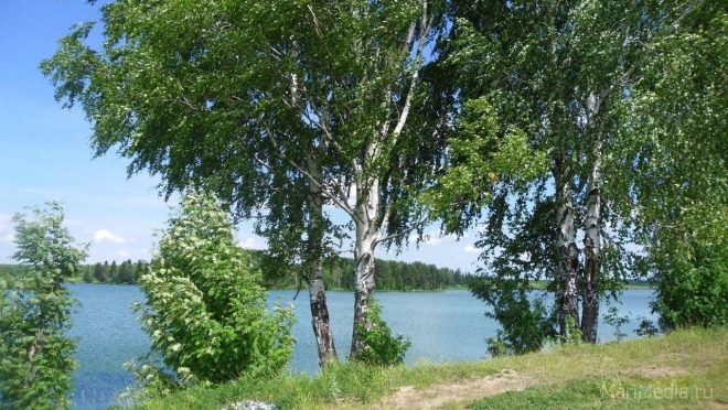 Марий Эл в национальном экологическом рейтинге поднялась на 12 пунктов