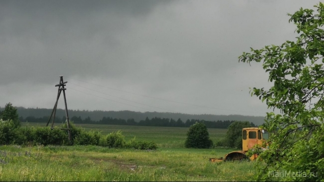 В трёх районах Марий Эл произошло аварийное отключение электричества