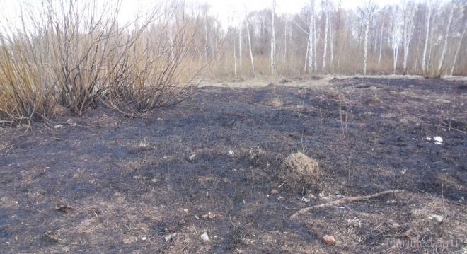 В Марий Эл в выходные дни произошло 8 пожаров