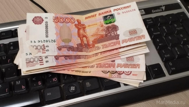 Работодатели Марий Эл направили более 7 млн рублей на борьбу с COVID-19