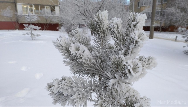 В Марий Эл идут атлантические циклоны со снегопадами