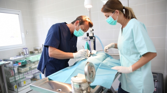 Соседи сообща спасли щенка таксы из рук живодёра