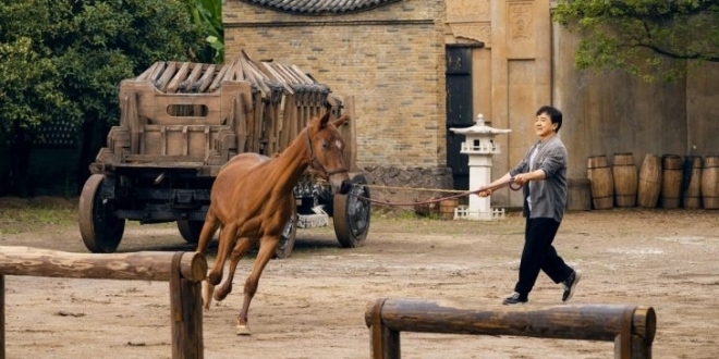 Кунг-фу жеребец