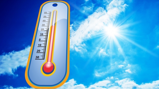 Синоптики обещают пик жары с 31 июля на 1 августа