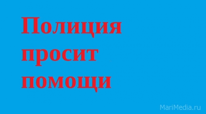Полиция просит помощи у жителей Марий Эл в установлении личности утопленника