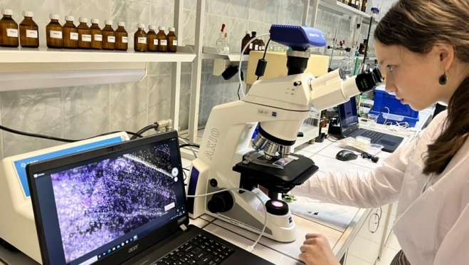 В Марий Эл началась «Неделя ИТ»