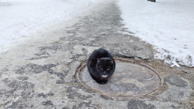 В Марий Эл возвращается зима
