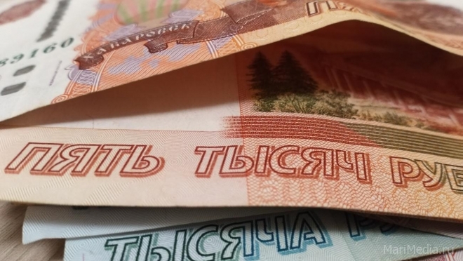 В РФ величина прожиточного минимума достигла 11 653 рублей