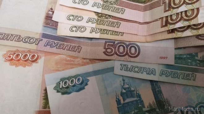Желание быстро заработать стоило йошкаролинке 1 775 000 рублей