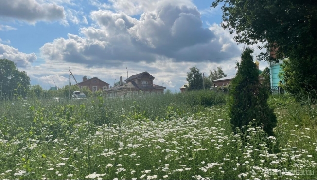 8 августа — Ермолаев день