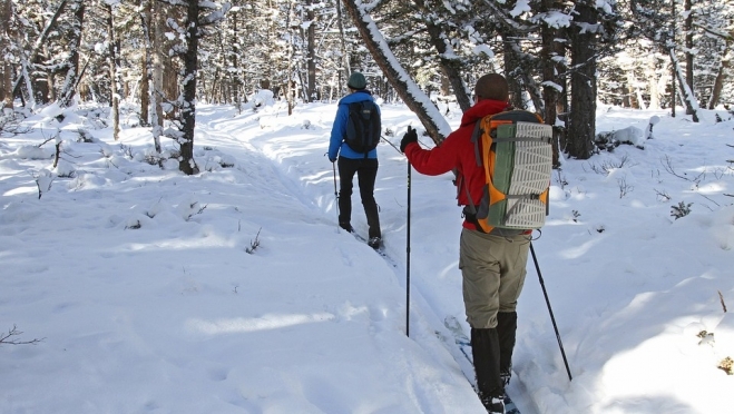 В «Сосновой роще» пройдёт первенство по спортивному ориентированию на лыжах