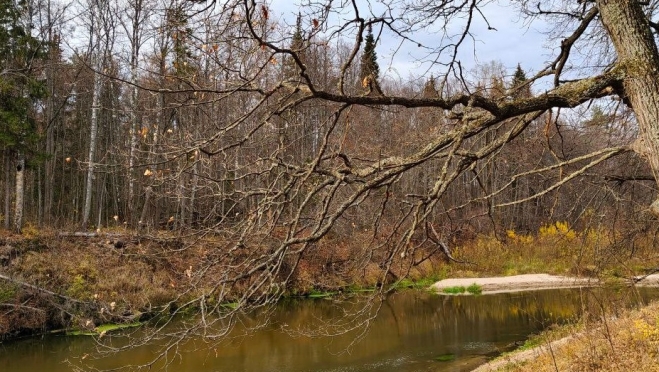 В Марий Эл завершился пожароопасный сезон