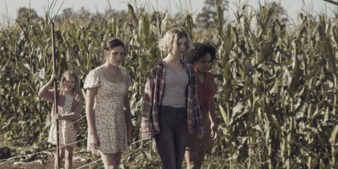 Дети кукурузы