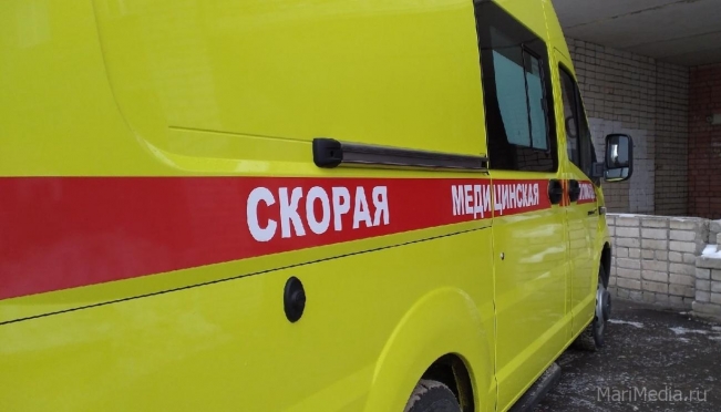 В Моркинском районе сотрудники скорой помощи к пациентке добирались на лошадях