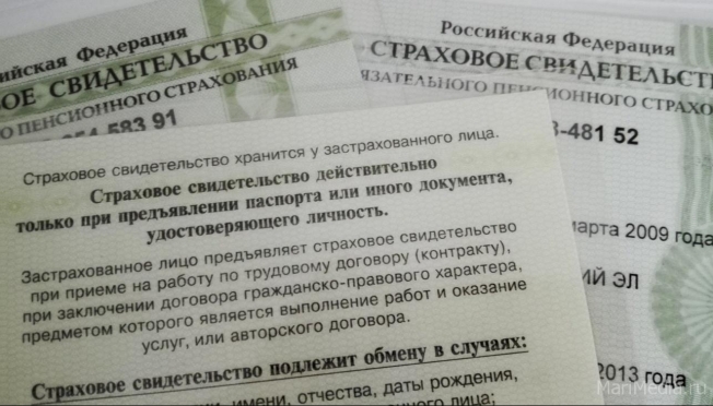 Работодатели требуют электронный аналог СНИЛС