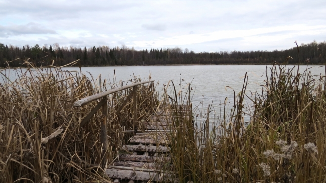 На озере Яльчик может появиться «мертвый лес»