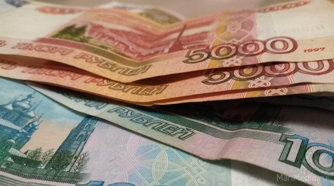 В Марий Эл больше миллиона рублей перевели сельчане на счета аферистов