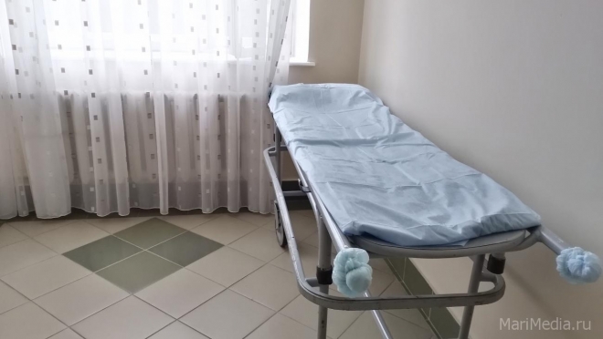 В Марий Эл больше трёх десятков человек госпитализировали в инфекцию за сутки
