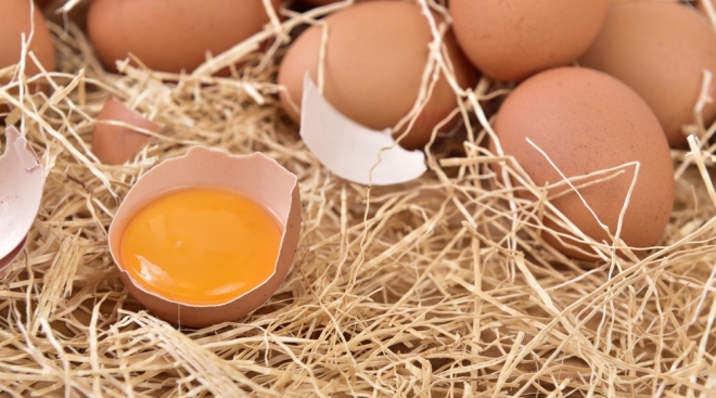 На птицефабриках Марий Эл в прошлом году было произведено 388,5 млн штук яиц