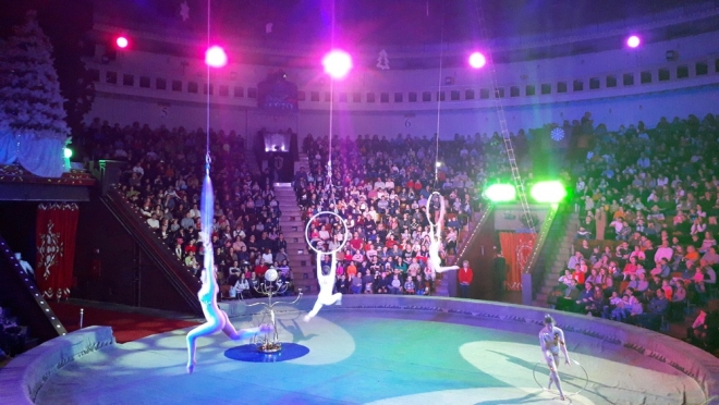 В Казанском цирке во время номера на качелях упали акробаты