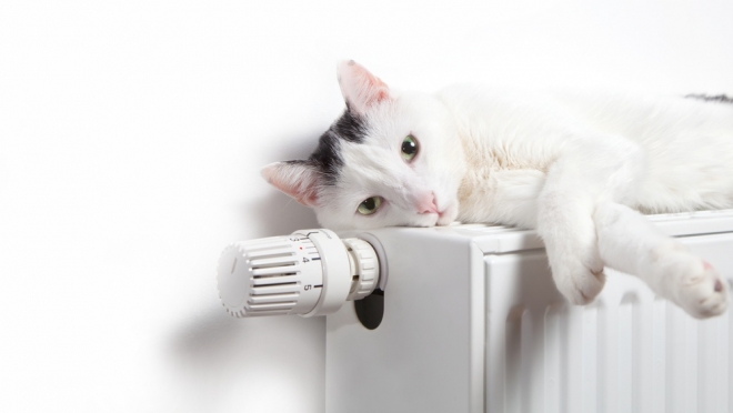 Тепло в дома Йошкар-Олы дадут уже сегодня