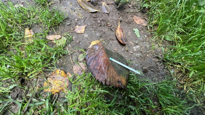 Житель Оршанского района вывез свою жертву на мотоблоке в лес, где добил