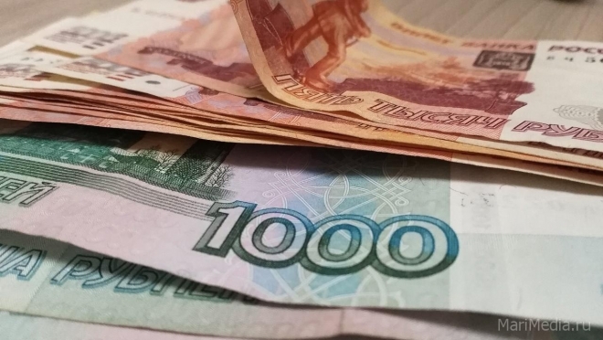 Йошкаролинец лишился 1 230 000 рублей, играя в интернете на бирже