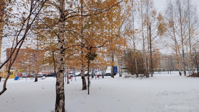 В выходные в Марий Эл обещают мокрый снег