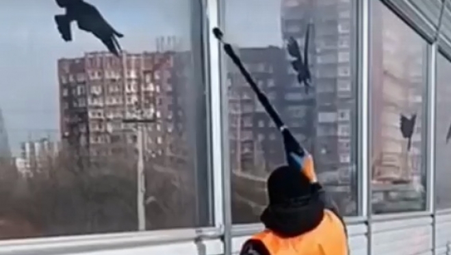 В Йошкар-Оле любителям граффити предлагают отмыть от рисунков защитные экраны