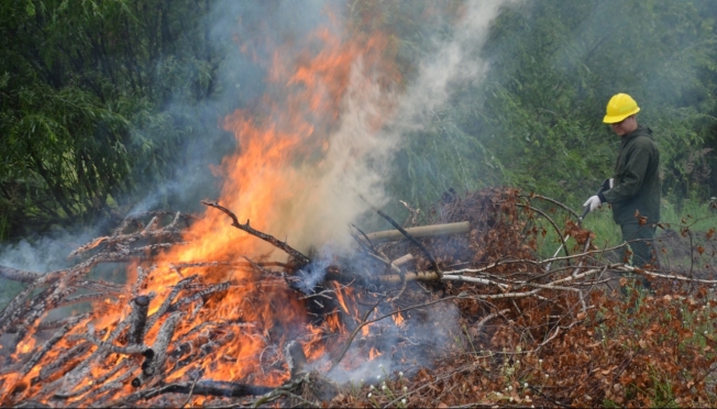 В лесах Марий Эл сохраняется высокая пожароопасность