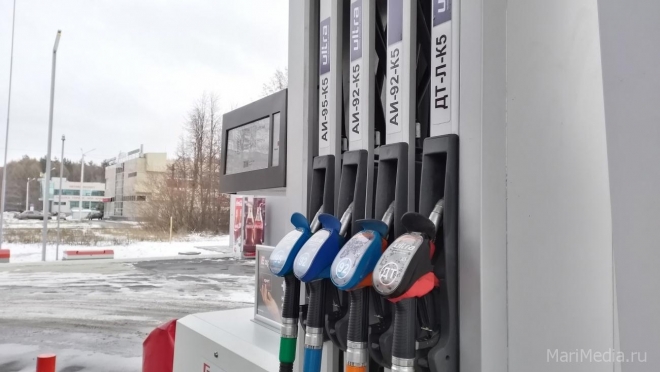 В Марий Эл цены на газовое моторное топливо за год выросли на 63,9%