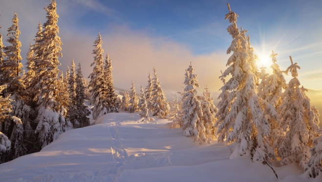 Самая холодная ночь сегодня была в Новом Торъяле