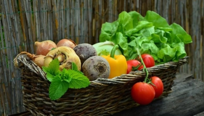 Овощи, выращенные в Марий Эл, ждут в Хабаровском крае