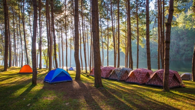 Волонтёров Марий Эл приглашают в бесплатный  палаточный лагерь Татарстана