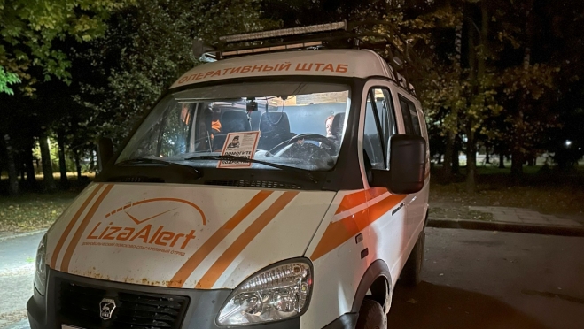 В прошлом месяце отряд «ЛизаАлерт» Марий Эл получил 37 заявок на поиск