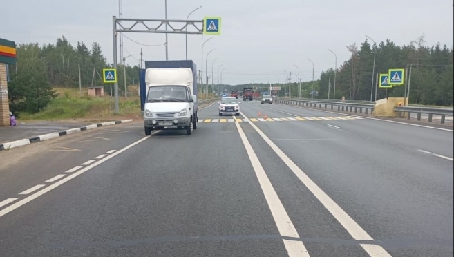 В Марий Эл грузовая «Газель» сбила 73-летнюю пенсионерку